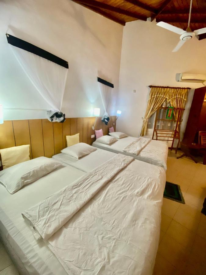 Hikka Paradise Guest House Hikkaduwa Eksteriør billede